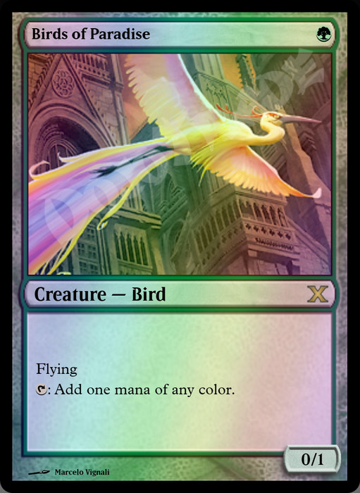 Birds of Paradise FOIL