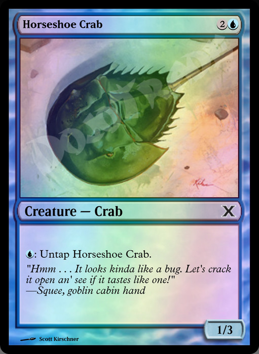 Horseshoe Crab FOIL