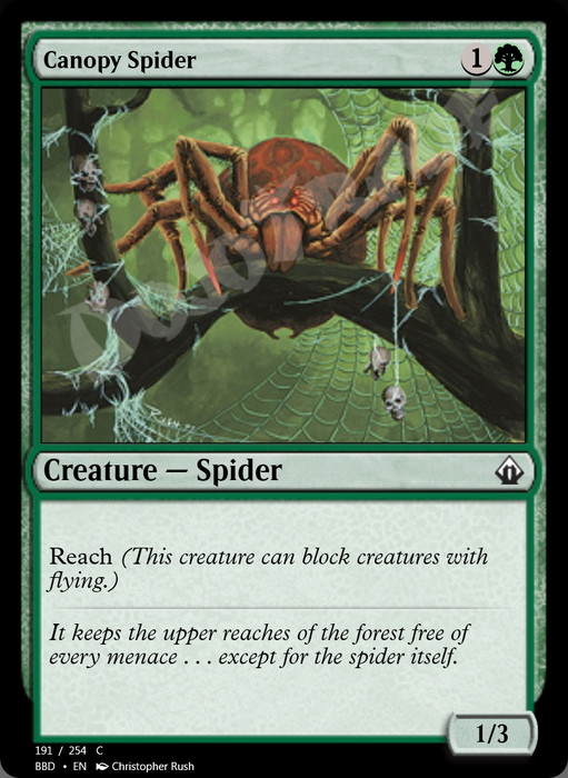 Canopy Spider