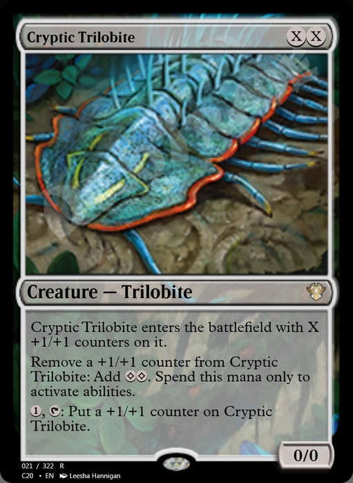 Cryptic Trilobite