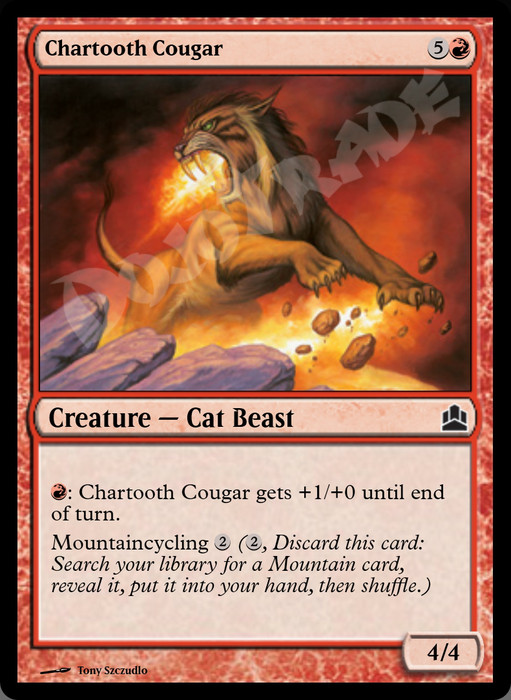 Chartooth Cougar