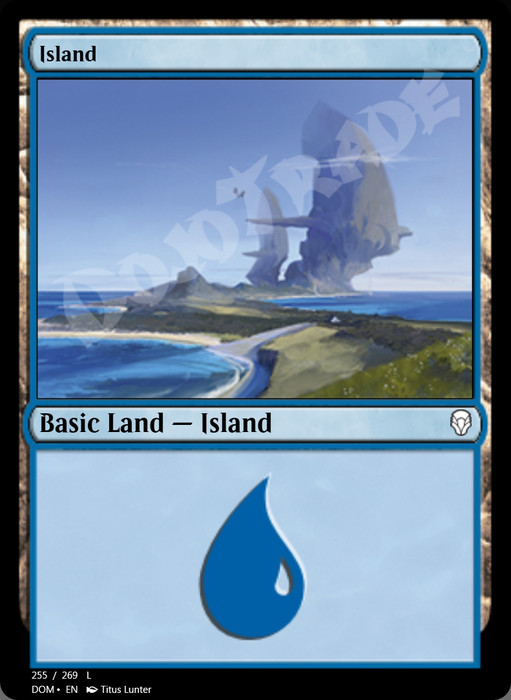 Island (#255)