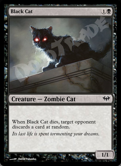 Black Cat