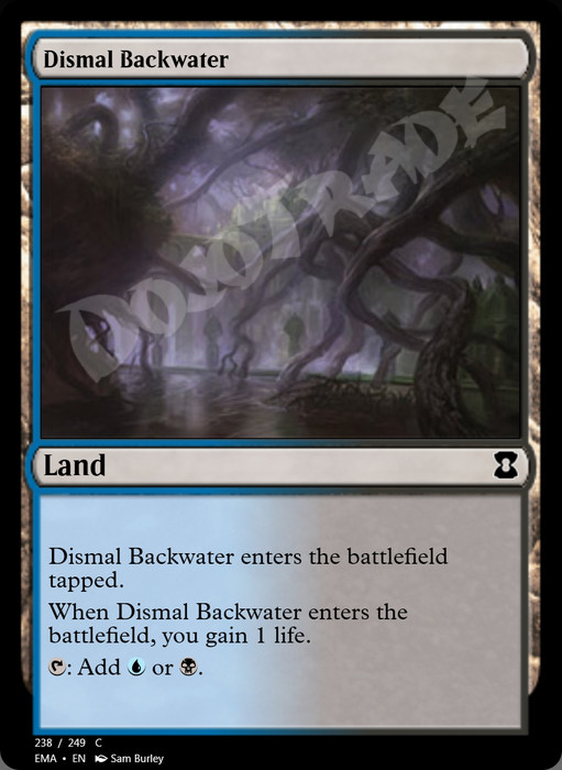 Dismal Backwater