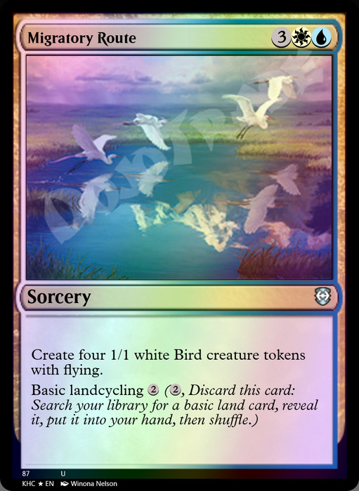 Migratory Route FOIL