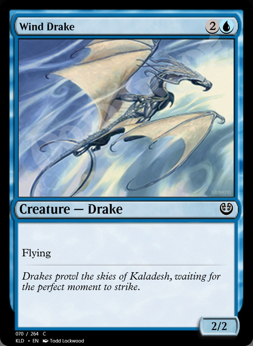 Wind Drake