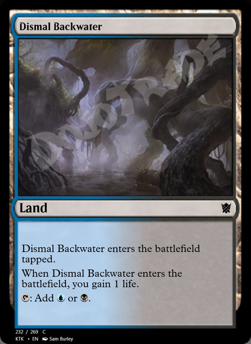 Dismal Backwater