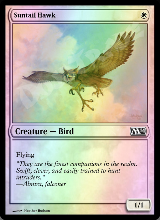 Suntail Hawk FOIL