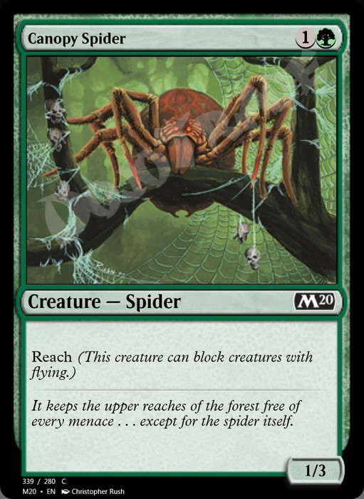 Canopy Spider