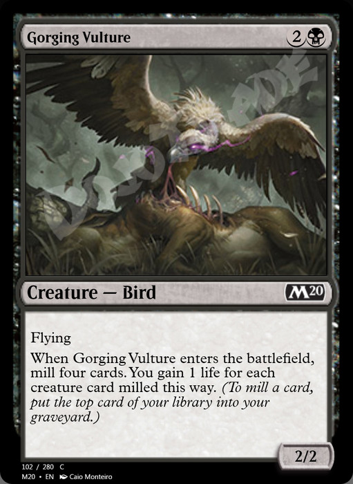 Gorging Vulture