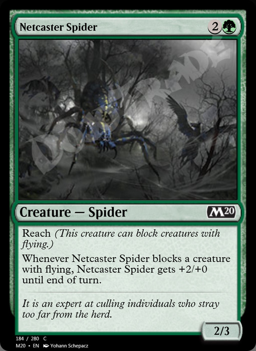 Netcaster Spider