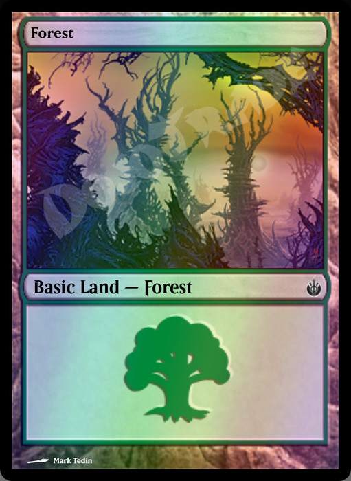 Forest (#155) FOIL