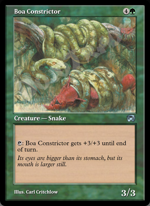 Boa Constrictor