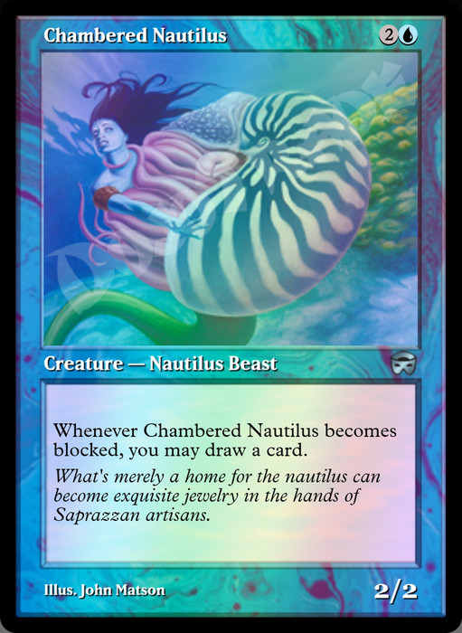 Chambered Nautilus FOIL