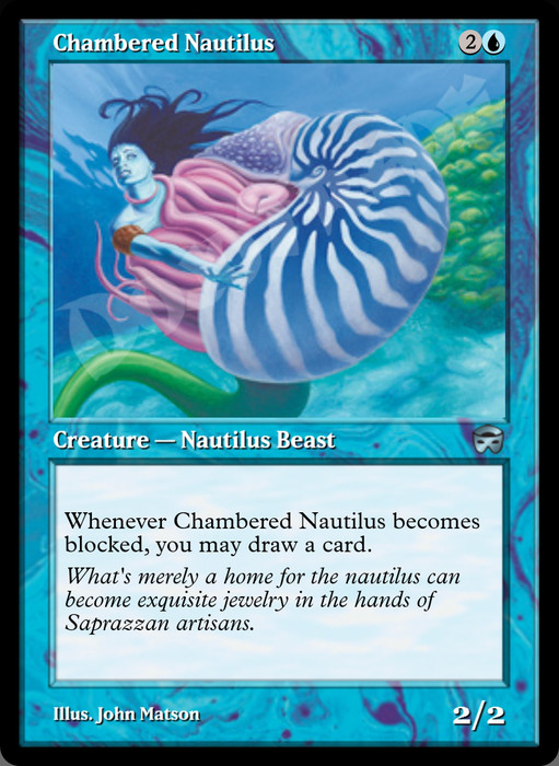 Chambered Nautilus