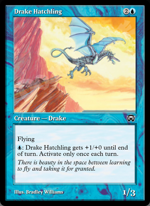 Drake Hatchling