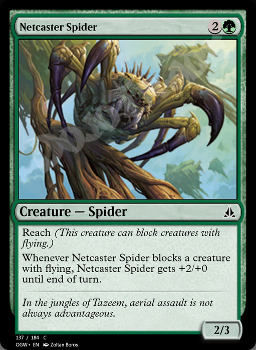 Netcaster Spider