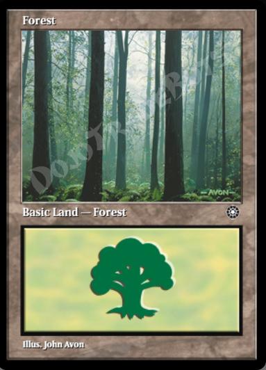 Forest (Ferns on Ground)