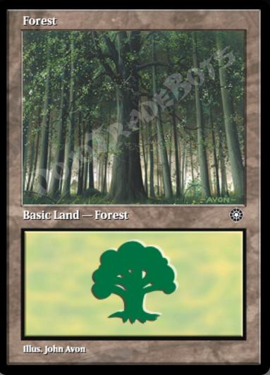 Forest (Large Middle)