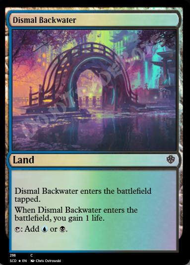 Dismal Backwater FOIL