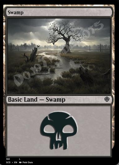 Swamp (#342)