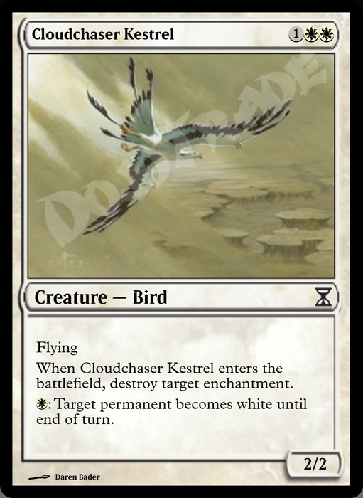 Cloudchaser Kestrel