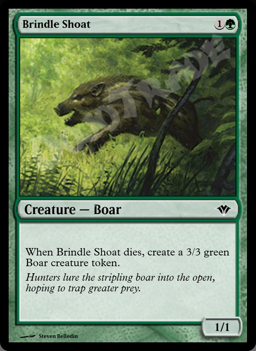 Brindle Shoat